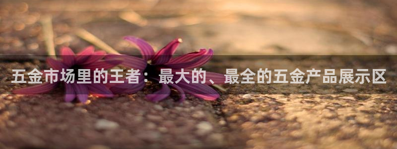 cq9电子价格打法