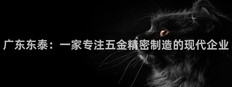 cq9传奇电子公司