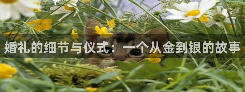 cq9电子游戏app