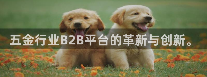 电子游戏cq9视频