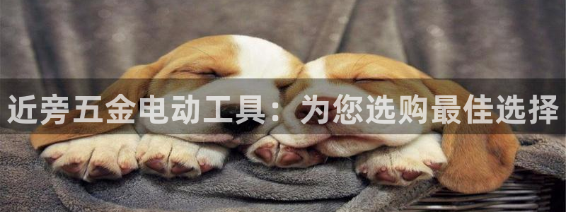 cq9电子龙舞