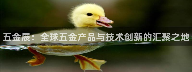 Cq9的电子图