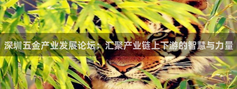 cq9电子平台游戏试玩