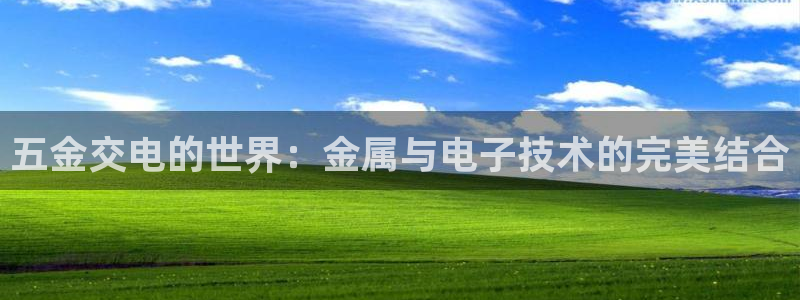 电子cq9辅助脚本