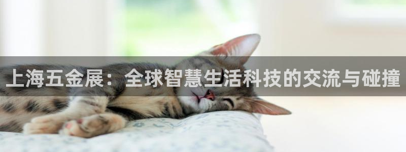 CQ9电子大奖视频在线