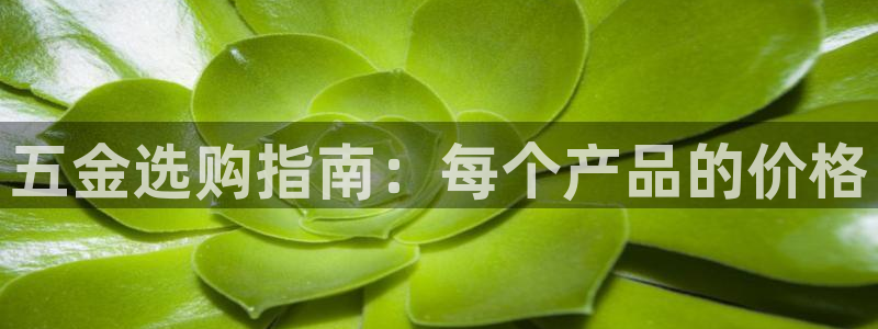 电子cQ9游戏大奖视频