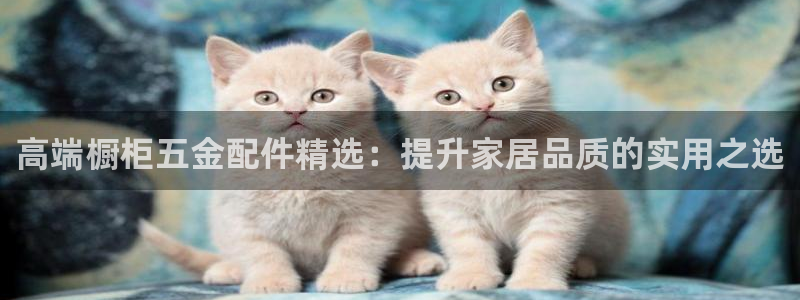 cq9电子官方app