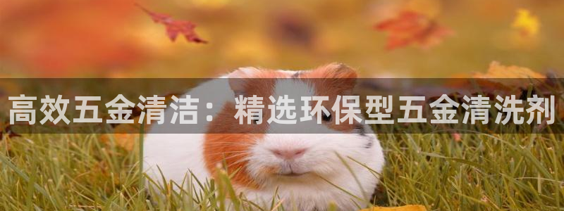 cq9电子官网首页