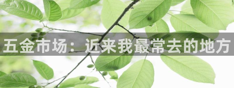 cq9电子游戏