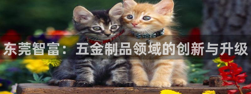 哪些网站有cq9电子