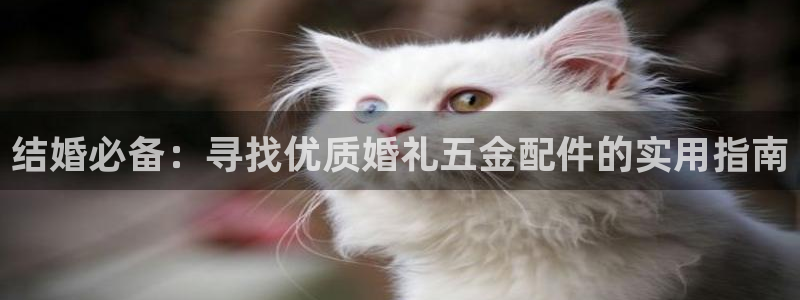 cq9电子谁开发的