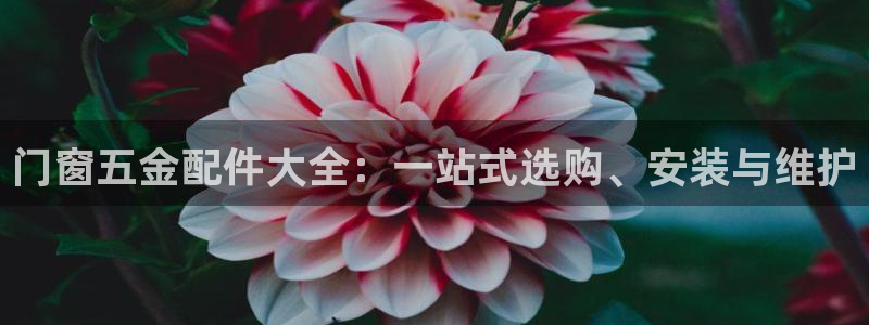 电子cq9辅助脚本