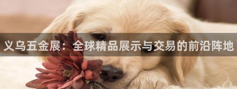 电子cq9游戏门户