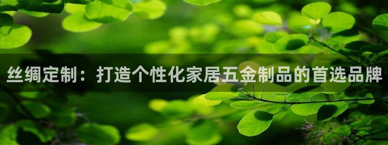 cq9电子黑豹