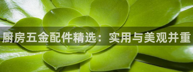 cq9电子爆奖技巧