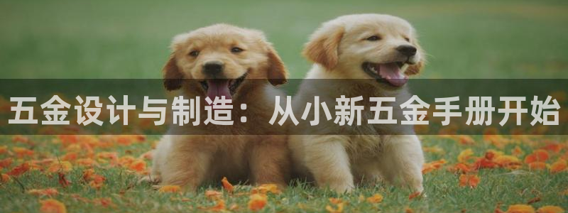 传奇电子cq9官方电话