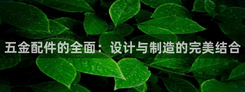 传奇电子cq9欧冠