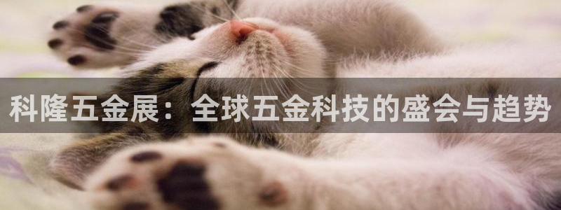 cq9电子跳起来