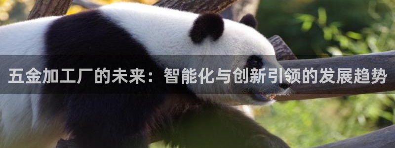 cq9网站电子