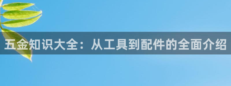 cq9电子怎么赢了