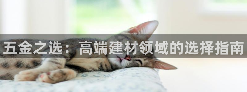 CQ9电子坑人