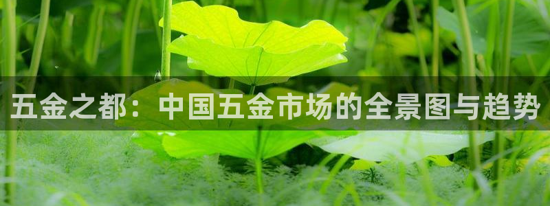 CQ9电子服务大厅服务