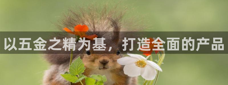 cq9电子技巧心得