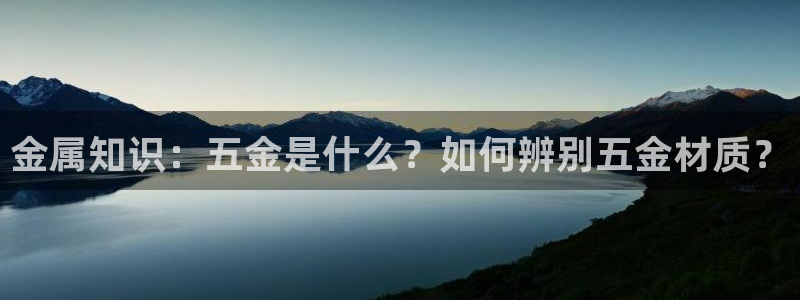 电子游戏cq9规则