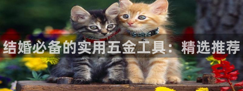 cq9电子跳高高诀窍