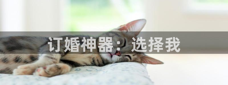 cq9电子平台背景