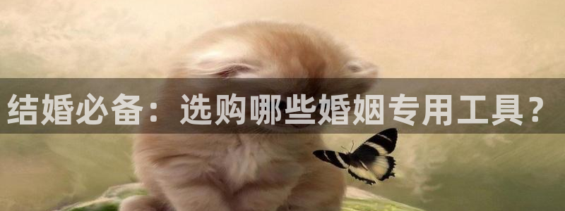 cq9电子跳高高给分