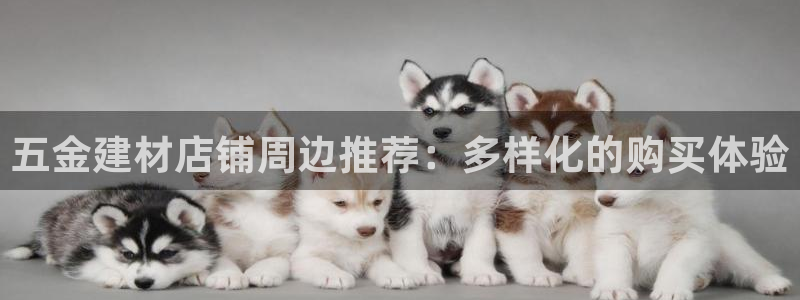 电子游戏cq9不夜城