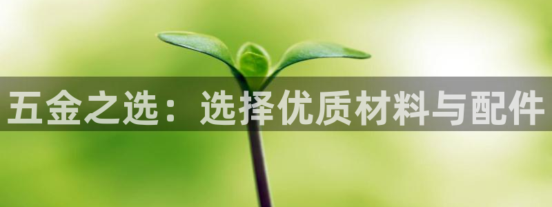 黑客攻击cq9电子