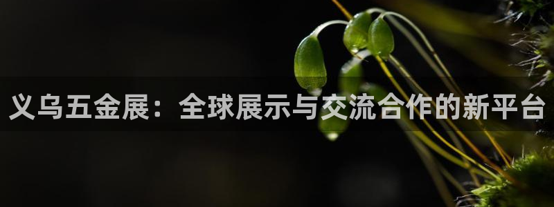 传奇电子cq9视频