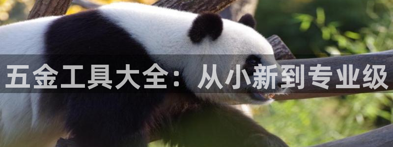 cq9传奇电子下载