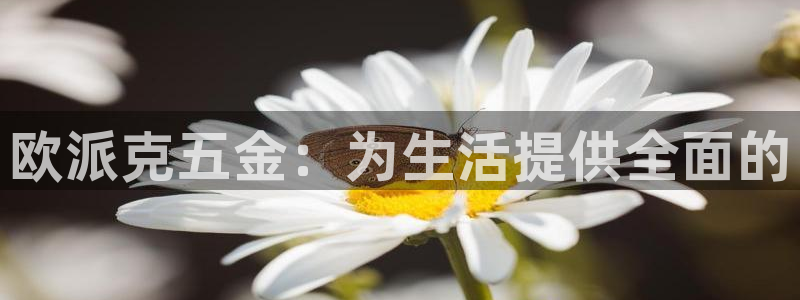 cq9传奇电子维护过后