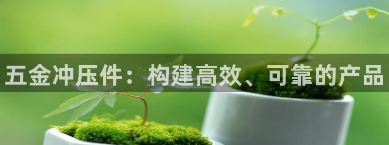 cq9电子平台网站下载
