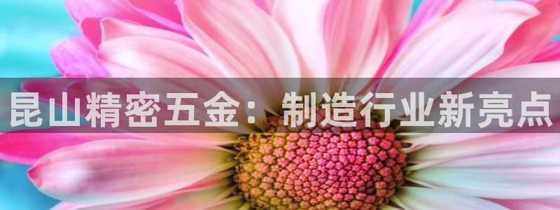 cq9电子武圣图片