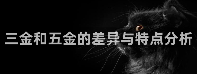 cq9电子游戏蹦迪