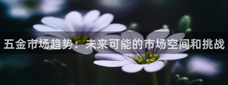 cq9电子平台游戏试玩