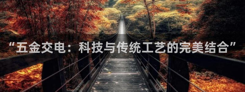 电子游戏cQ9