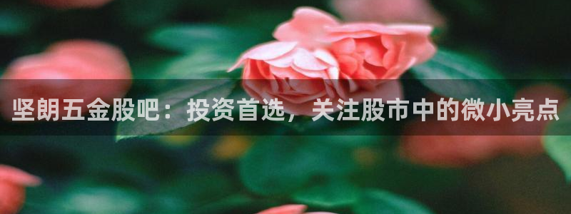 电子cq9规则