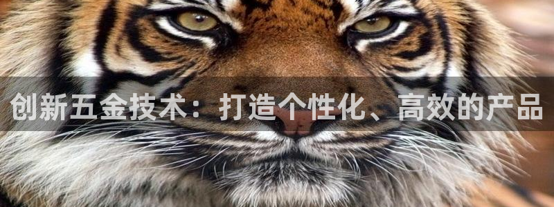 cq9电子模拟
